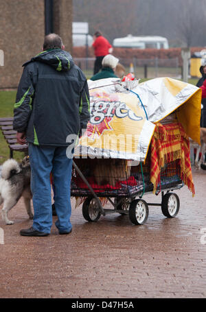NEC, Birmingham, UK. 7 mars 2103. Garder les chiens dans l'ombre de TSA qu'ils arrivent pour Crufts 2013 Crédit : Chris Gibson / Alamy Live News Banque D'Images