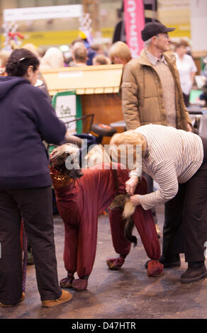 NEC, Birmingham, UK. 7 mars 2103. Dépêche-toi Maman, sortez-moi de cette chose. Crédit : Chris Gibson / Alamy Live News Banque D'Images