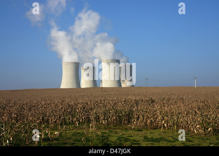 Quatre tours de refroidissement dans le maïs champ agriculture Banque D'Images