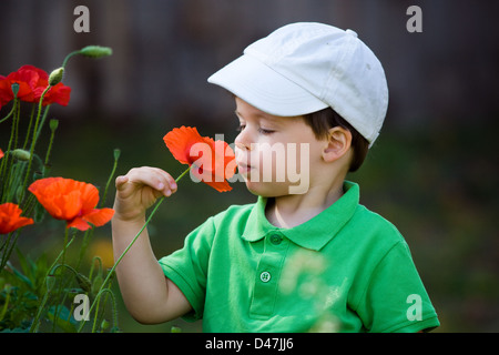 Cute little boy sent une fleur sauvage Banque D'Images