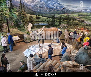 28 juin 2012 - L'Arrondissement de Denali, Alaska, Etats-Unis - Touristes vue affiche dans la salle d'exposition du Centre d'accueil de Denali, le principal parc de service du centre d'information et de Denali National Park et préserver. (Crédit Image : © Arnold Drapkin/ZUMAPRESS.com) Banque D'Images