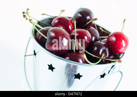 Tas de cerises fraîchement cueillies dans la benne en métal. Banque D'Images