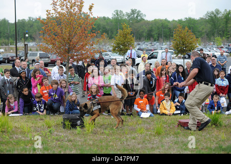 Le personnel des services d'enquête criminelle navale et leurs enfants observent une démonstration de chiens de travail du corps des Marines lors de la journée « Take Your Daughters and sons to Work Day » au siège du NCIS à Quantico, Virginie. Banque D'Images