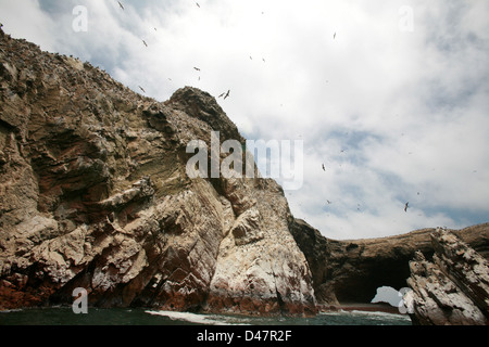 Les îles Ballestas, l'océan Pacifique, le Pérou vol oiseaux nichant sur les formations rocheuses Banque D'Images