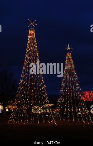 Arbre de Noël/ avec une étoile sur le dessus, décrites dans la décoration de lumières dans la nuit. Banque D'Images