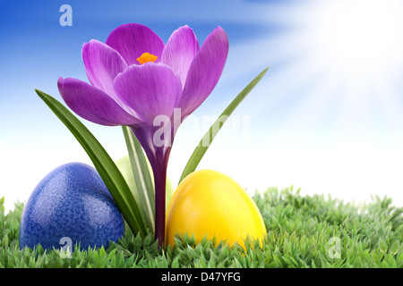 Crocus avec les oeufs de pâques sur meadow Banque D'Images