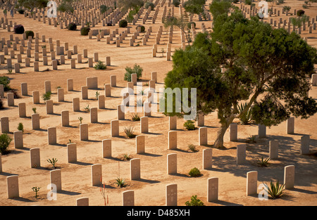 Tombes de guerre dans le désert du Sahara au cimetière du Commonwealth à El Alamein, en Égypte Banque D'Images