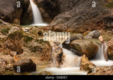 Chute dans un ruisseau alpin bavarois Banque D'Images