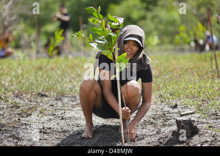 Jeune femme à de nouvelles plantations de reboisement des mangroves pour l'arbre à Satun, Thailande du sud Banque D'Images
