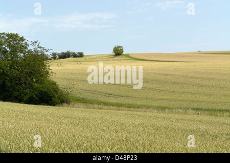 Paysage rural idyllique et vue panoramique dans Hohenlohe, un salon dans le sud de l'Allemagne, à l'heure d'été Banque D'Images