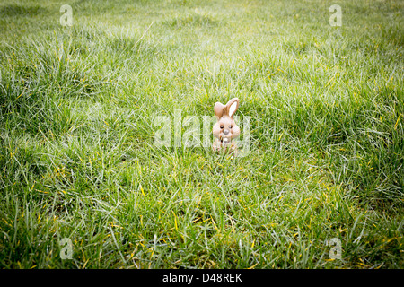 Lapin chocolat caché dans l'herbe Banque D'Images