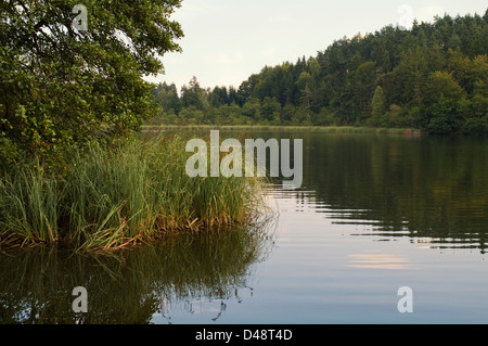 La petite et tranquille lac de Saissersee Banque D'Images