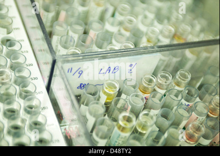 Les flacons sont préparés pour des échantillons de sang. Banque D'Images