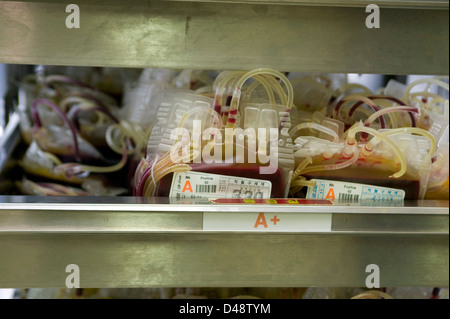 Close up de poches de sang contenant un type + Banque D'Images