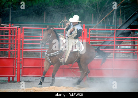 Mexican cowboy roping pratique à cheval, TX, US Banque D'Images