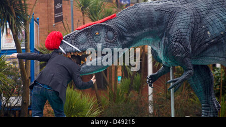 Bournemouth, Royaume-Uni. 8 mars 2013. Comédie Darren le dinosaure est mis sur les rues de Bournemouth à l'aide de Comic Relief. Darren le dinosaure est de trois mètres de haut par 8 mètres de long et a été utilisé dans la marche avec les dinosaures, il a été libéré par le célèbre Chris Jarvis de l'extérieur du BIC. L'événement a été organisé par Sainsbury pour inciter les gens à appeler dans n'importe quel magasin d'obtenir leur nez rouge pour se protéger eux-mêmes s'ils en voient la créature préhistorique tout en dehors et environ. Credit : Carolyn Jenkins / Alamy Live News Banque D'Images