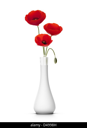 Couper trois coquelicots dans un vase, fond blanc, élément de décor Banque D'Images