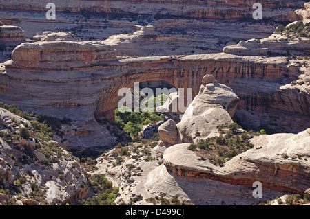 Natural Bridges National Monument, Utah, United States Banque D'Images