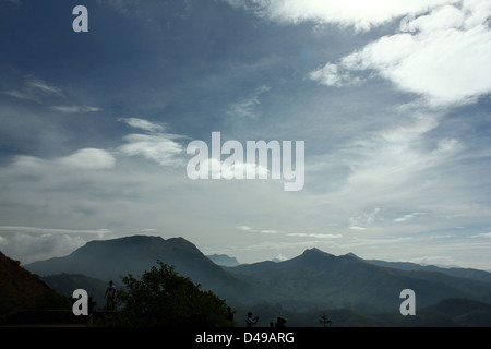 Paysage, Munnar, Kerala. Banque D'Images