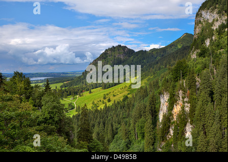 Voir de verte prairie ensoleillée entourée de montagnes couvertes de forêts sous beau ciel nuageux en Bavière, Allemagne. Banque D'Images