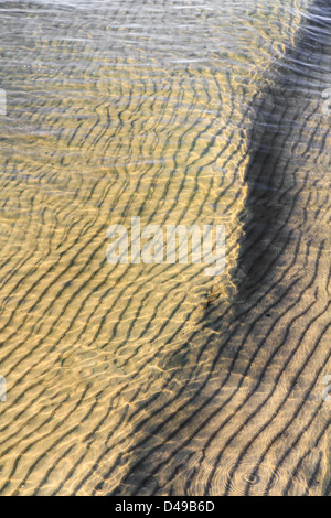 Une petite vague roule sur le sable ondulée sur une plage de sable ensoleillée Banque D'Images