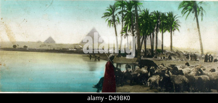 Cette photographie d'Edwin Newman capture les superbes pyramides de Gizeh, avec les structures emblématiques se dressant contre un vaste paysage désertique. L'image souligne l'importance historique et culturelle des pyramides, juxtaposées au contexte des opérations de la Royal Air Force au moyen-Orient, en particulier en Irak, au cours du XXe siècle. Banque D'Images