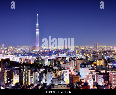 Vue sur Tokyo Sky Tree dans la nuit de Bunkyo Ward, Tokyo, Japon. Banque D'Images