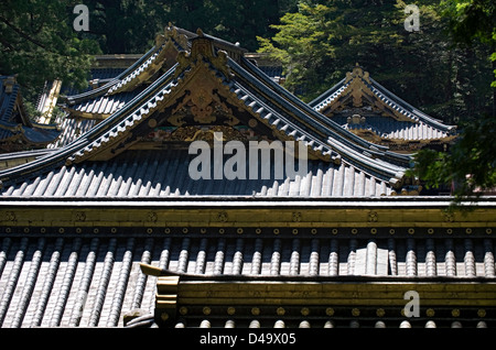 Les toits de tuile de la salle principale de culte bâtiments entourés par une forêt de cèdres au jinja Toshogu à Nikko Banque D'Images