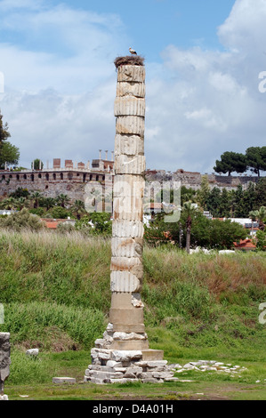 Nid d'une cigogne sur le dessus d'une colonne de temple d'Artémis, ville antique d'Éphèse, la FEAS, la Turquie, l'Asie occidentale Banque D'Images