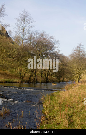 Frêne Arbre qui grandit à côté de la rivière Dove Dale Wolfscote Hiver Hiver Derbyshire en Angleterre Banque D'Images