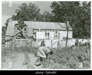 Cette image représente de vieux quartiers d'esclaves sur une plantation de la paroisse de Madison, en Louisiane, autrefois utilisée par les Afro-Américains réduits en esclavage. Il met en lumière les conditions de vie et la présence des femmes afro-américaines impliquées dans le travail agricole. Banque D'Images