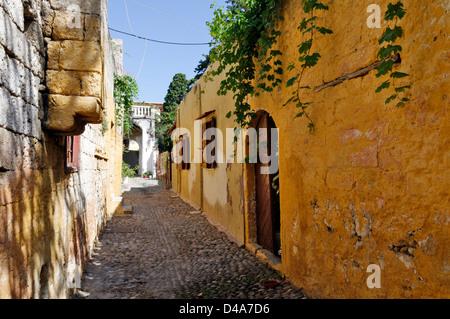 Rhodes. La Grèce. Pierre de galets très étroite ruelle avec des bâtiments en pierre et des surplombs de plantes vertes à l'intérieur de la vieille ville de Rhodes Banque D'Images
