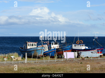 Bateaux de pêche en bois ancien tiré vers le haut au-dessus de la plage, sur le détroit de Magellan . Punta Arenas, Chili. Banque D'Images