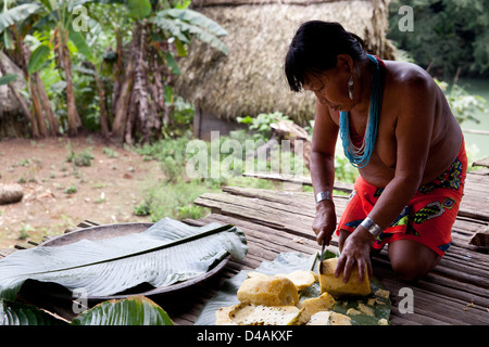 Femme indienne Embera coupant des ananas au village d'Embera Puru, Rio Pequeni, République du Panama, Amérique centrale. Banque D'Images