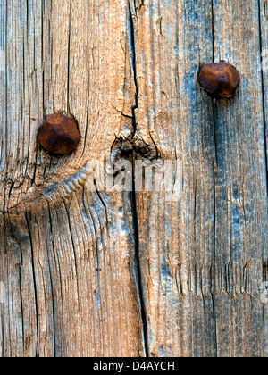 Suggestion de l'animal en face de la porte de bois vieux - France. Banque D'Images