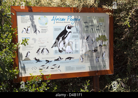 Signer avec Penguin Infos à Boulders Beach à Western Cape - Afrique du Sud Banque D'Images