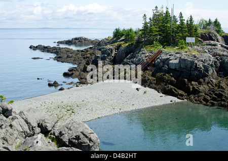 La marée montante narrows le chemin d'accès à la lumière de Head Harbour sur l'île Campobello. Bientôt, il sera sous l'eau. Banque D'Images