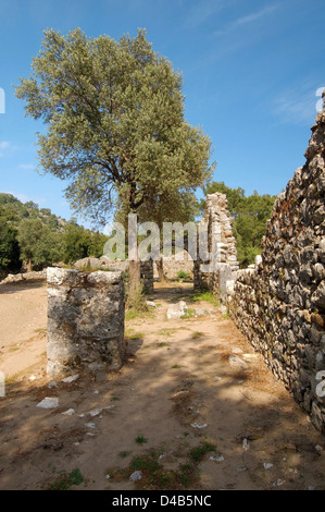 Ruine, Olympos Lycie (Turquie), l'Asie occidentale Banque D'Images