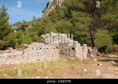 Ruine, Olympos Lycie (Turquie), l'Asie occidentale Banque D'Images