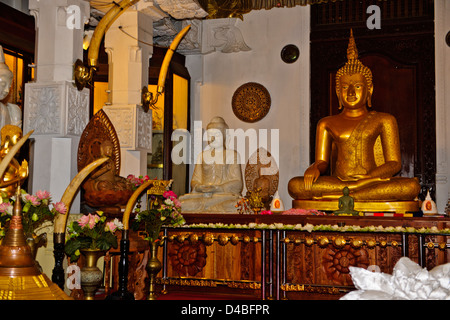 Temple de la dent,Temple Bouddhiste,Palais Royal,lac de Kandy,côté lac Residences,Hôtels,Kandy,près de Colombo, Sri Lanka, Ceylan Banque D'Images