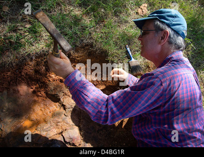 Une empreinte de dinosaure vérifiée, supposée provenir d'un nodosaure, est découverte au Goddard Space Flight Center de la NASA à Greenbelt, Maryland. La découverte ajoute à la compréhension de la vie préhistorique. Banque D'Images