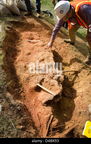 Des empreintes fossilisées de dinosaures du Crétacé ont été découvertes sur le campus du Goddard Space Flight Center de la NASA à Greenbelt, Maryland, ajoutant à l’importance paléontologique de la région. Banque D'Images