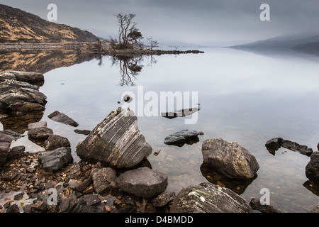 Mist & arbres rabougris sur Loch Assynt à Sutherland, de l'Écosse. Banque D'Images