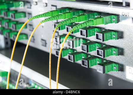 Server avec des câbles à fibres optiques dans le centre de données Banque D'Images