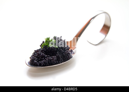 Une cuillère à caviar Banque D'Images