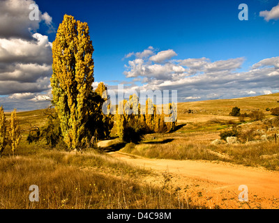 Route de campagne près de Berridale, montagnes enneigées, NSW, Australie Banque D'Images