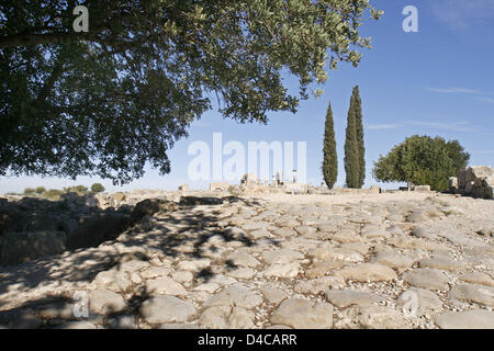 La photo montre les ruines de l'ancienne ville romaine Volubilis, Maroc, 14 décembre 2007. En 1997 la ville a été déclarée patrimoine mondial de l'UNESCO. Photo : Lars Halbauer Banque D'Images