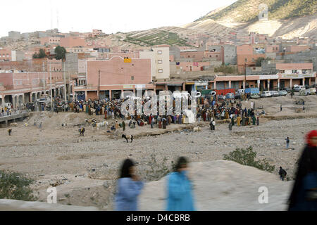 Les moutons sont vendus sur un marché pour être utilisé comme sacrifice au cours de l'Eid al-Adha, dans un petit village entre Marrakech et Agadir, Maroc, 17 décembre 2007. Photo : Lars Halbauer Banque D'Images