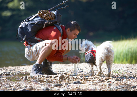 Randonneur avec chien à Feldsee, Blackwood Forest, Bade-Wurtemberg, Allemagne, Europe Banque D'Images