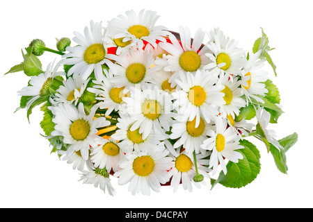 Bouquet minimaliste numéro 20 - camomille fleurs marguerites blanc macro dans vase en verre rouge isolé. Vue d'en haut Banque D'Images
